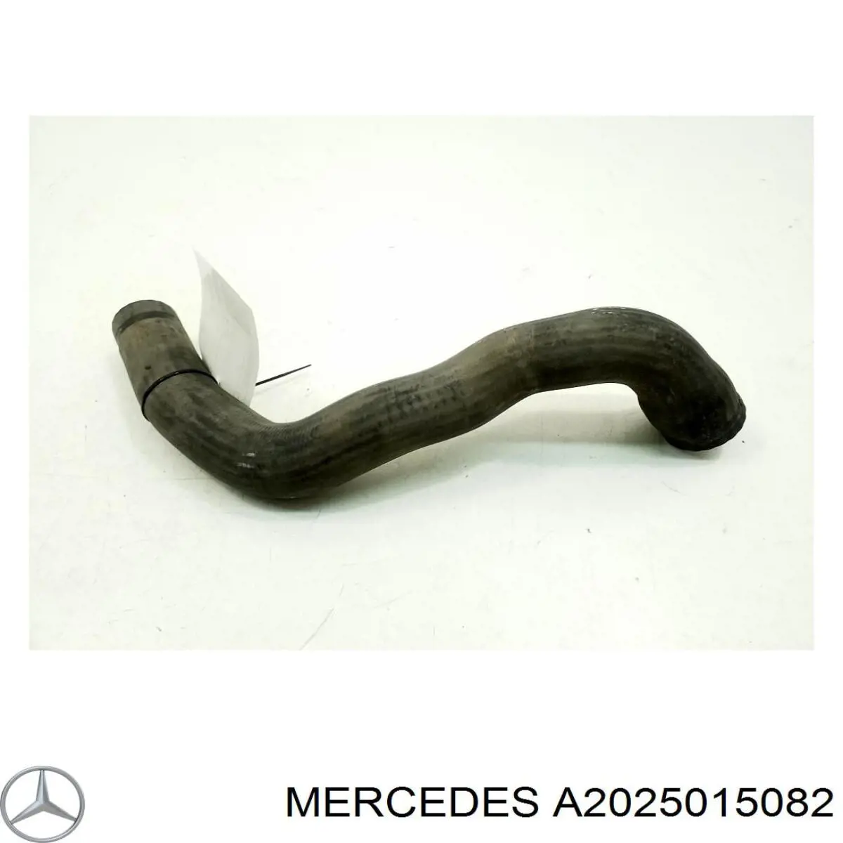 Compre A2025015082 Mercedes Mangueira (cano derivado) inferior do radiador de esfriamento