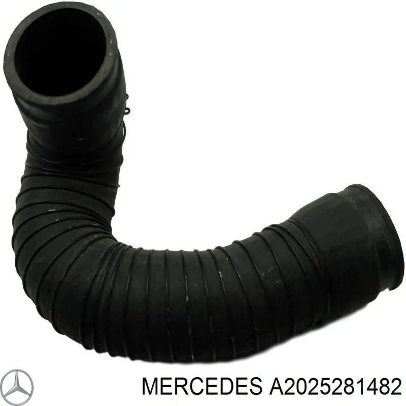 A2025281482 Mercedes Mangueira (cano derivado) de intercooler