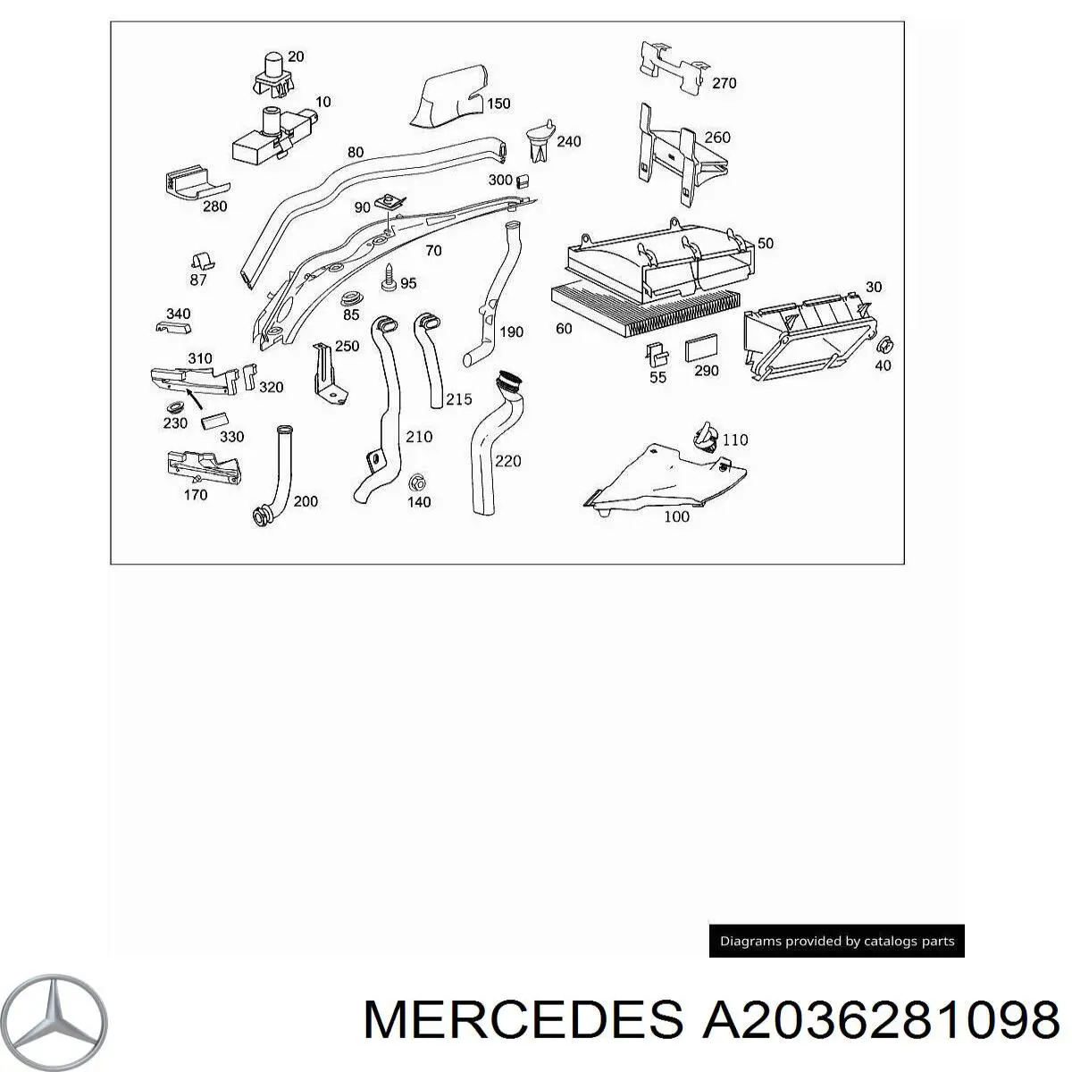 A2036281098 Mercedes 