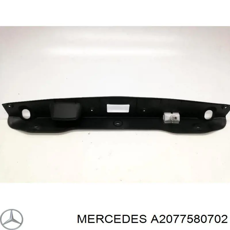 A2077580702 Mercedes 
