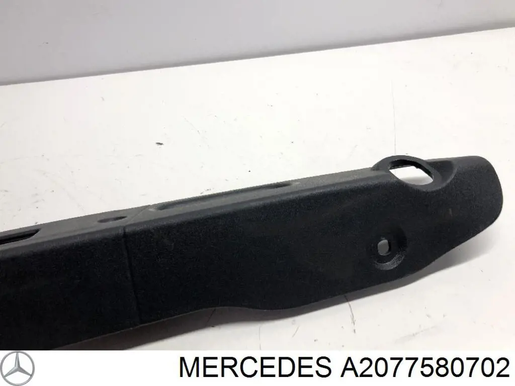 A2077580702 Mercedes 
