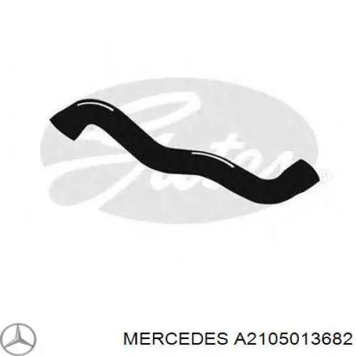 Mangueira (cano derivado) do radiador de esfriamento superior Mercedes A2105013682 preço, a partir de 21,69 USD