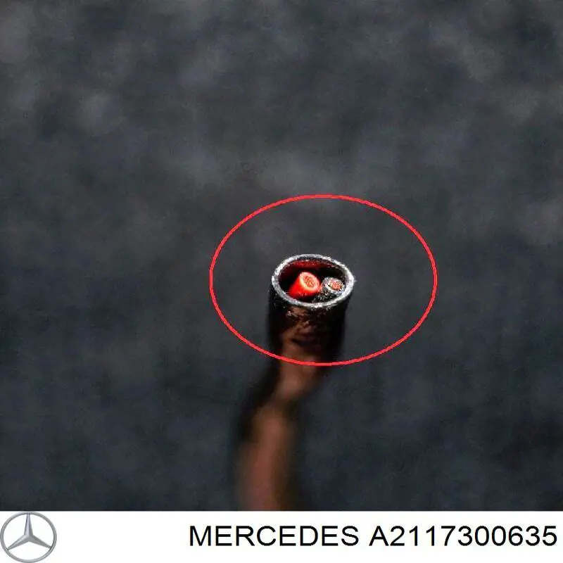 A2117300635 Mercedes Fecho da porta traseira direita