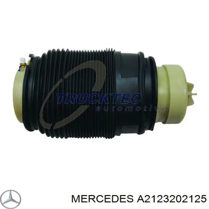 Compre A2123202125 Mercedes Coxim pneumático (suspensão de lâminas pneumática) do eixo traseiro