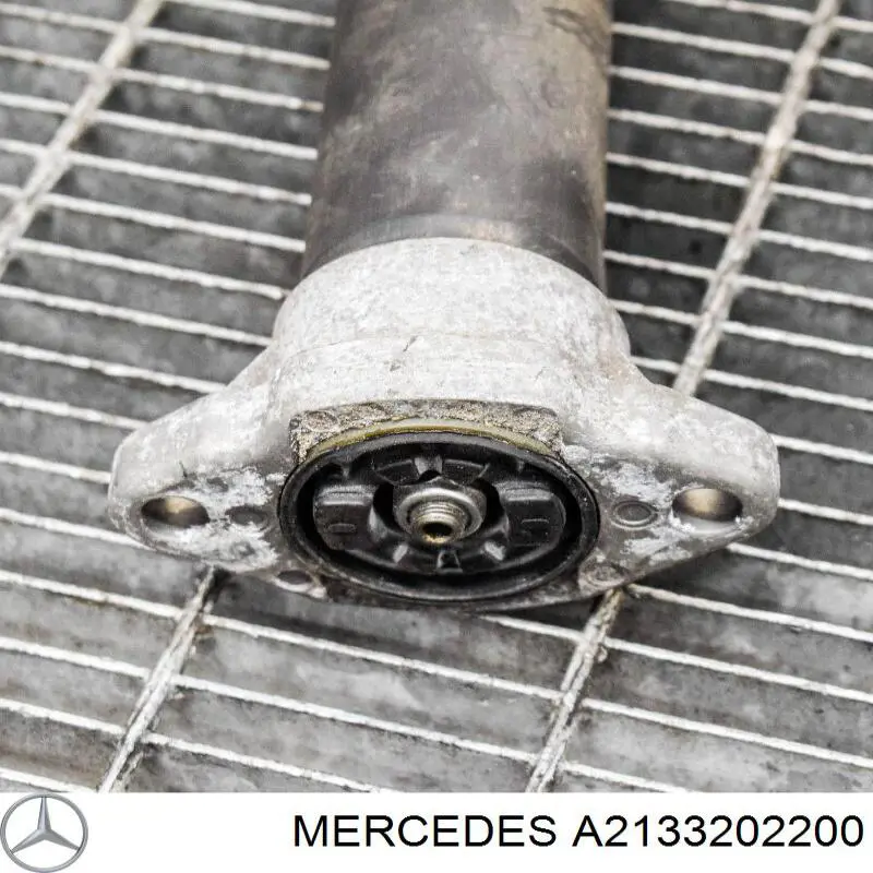 Amortecedor traseiro Mercedes A2133202200 preço, a partir de 564,71 USD