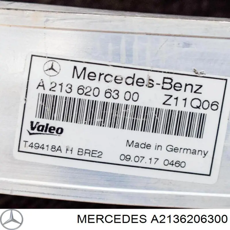 A2136206300 Mercedes Suporte do radiador montado (painel de montagem de fixação das luzes)