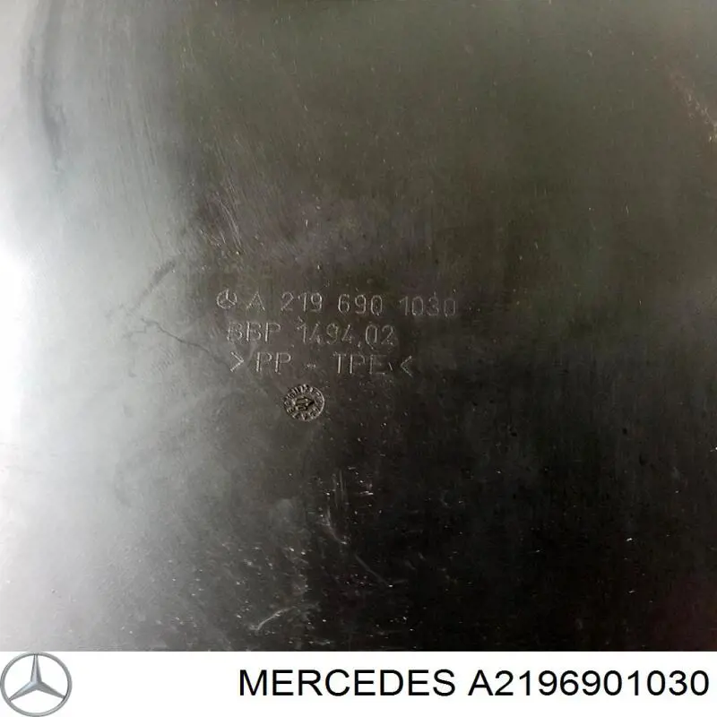 Compre A2196901030 Mercedes Guarda-barras direito dianteiro do pára-lama dianteiro