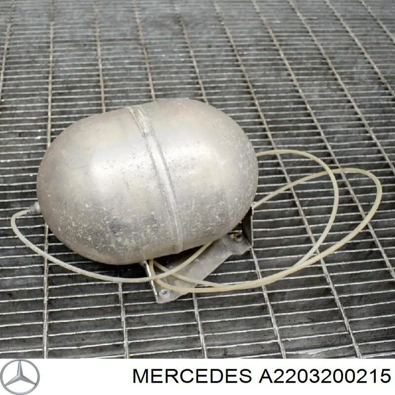 A2203200215 Mercedes Tanque de recepção do sistema pneumático