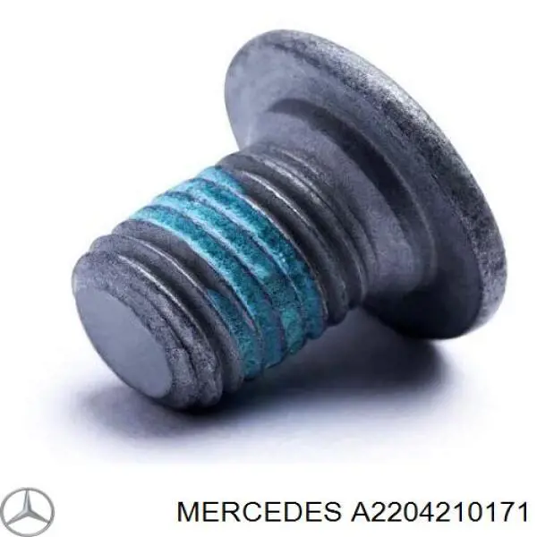 A2204210171 Mercedes Parafuso do freio de disco