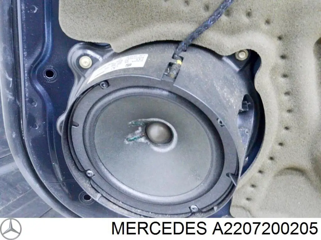 A2207200205 Mercedes Porta dianteira direita