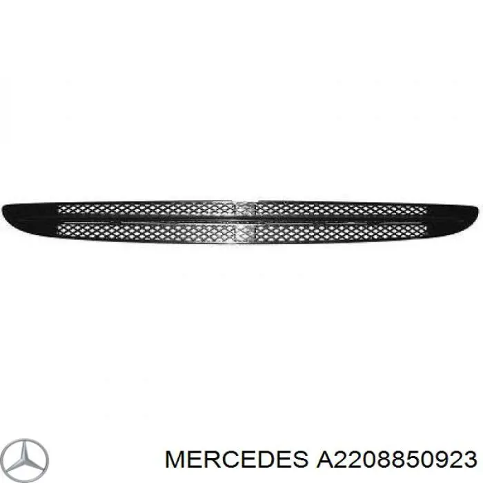 Grelha central do pára-choque dianteiro Mercedes A2208850923 preço, a partir de 21,68 USD