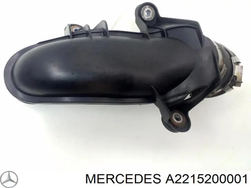 A2215200001 Mercedes Mangueira (cano derivado) de intercooler