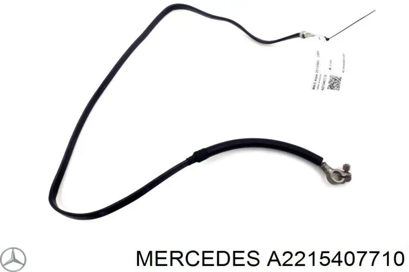 A2215407710 Mercedes Cabo de terra de bateria recarregável (PILHA)