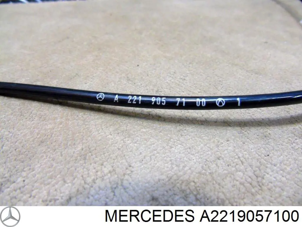 A2219057100 Mercedes Sensor dianteiro de ABS