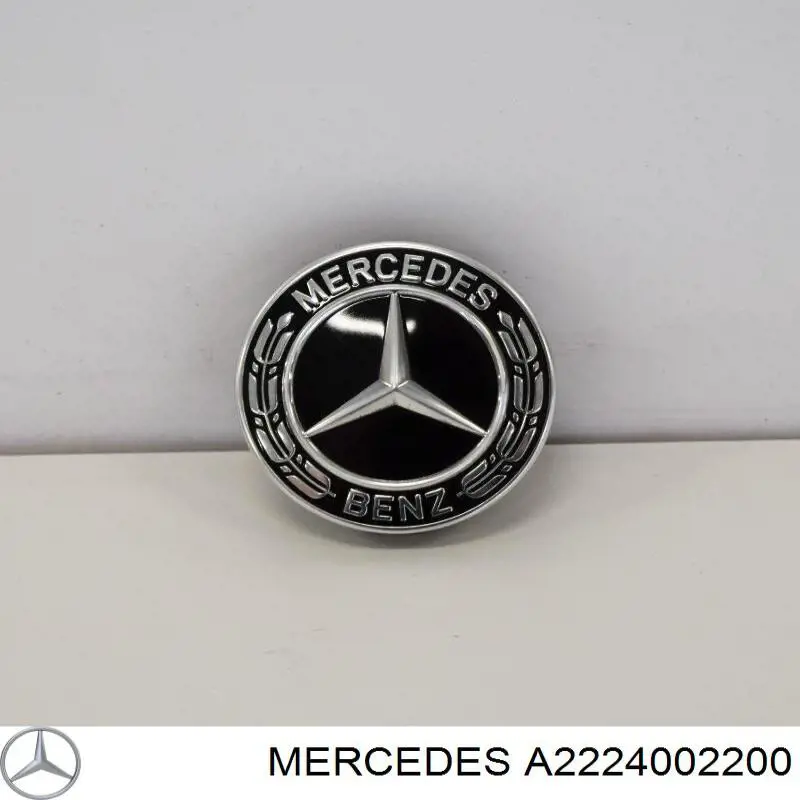 A2224002200 Mercedes Coberta de disco de roda