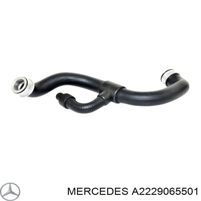 A2229065501 Mercedes Lanterna traseira direita