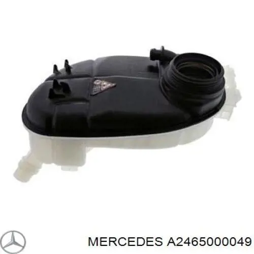 A2465000049 Mercedes Tanque de expansão do sistema de esfriamento