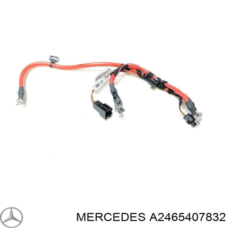 A2465407832 Mercedes Borne de bateria recarregável (PILHA)