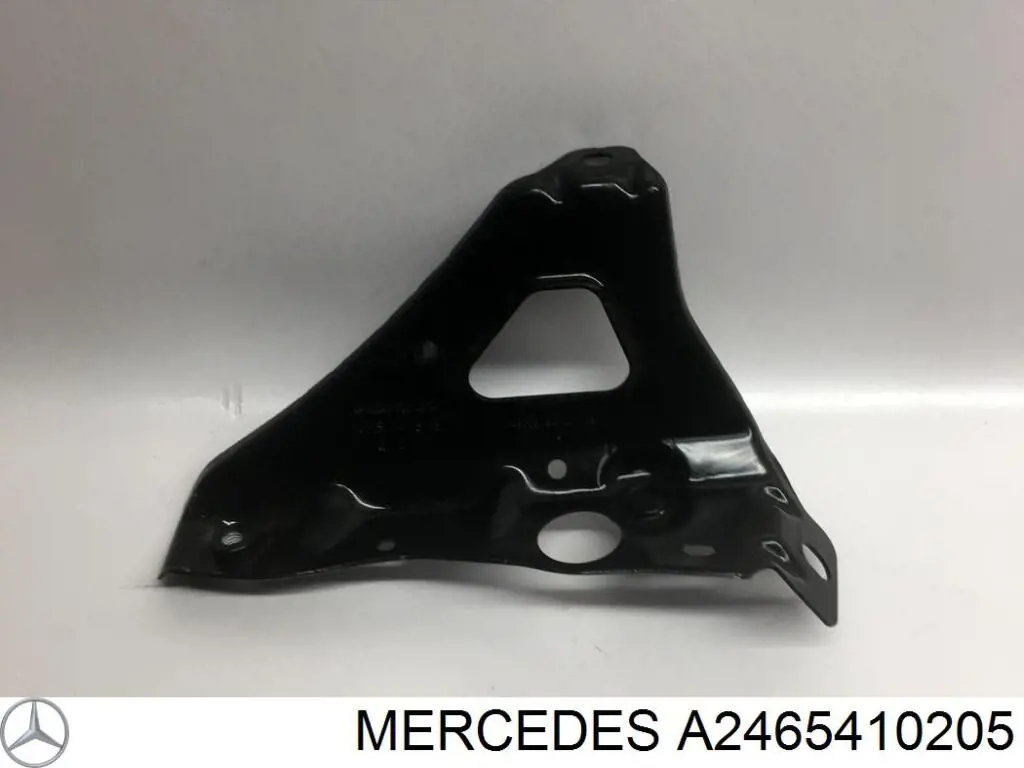 A2465410205 Mercedes Tampa de bateria recarregável (PILHA)