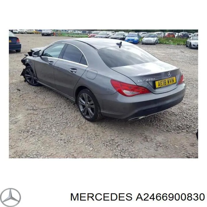 Compre A2466900830 Mercedes Guarda-barras esquerdo do pára-lama dianteiro