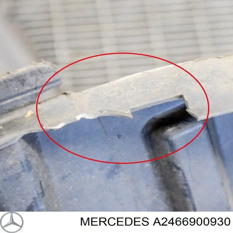 A2466900930 Mercedes Guarda-barras direito do pára-lama dianteiro