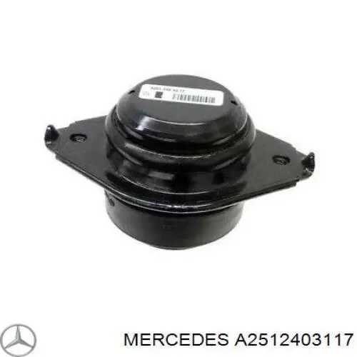 A2512403117 Mercedes Coxim (suporte) esquerdo/direito de motor