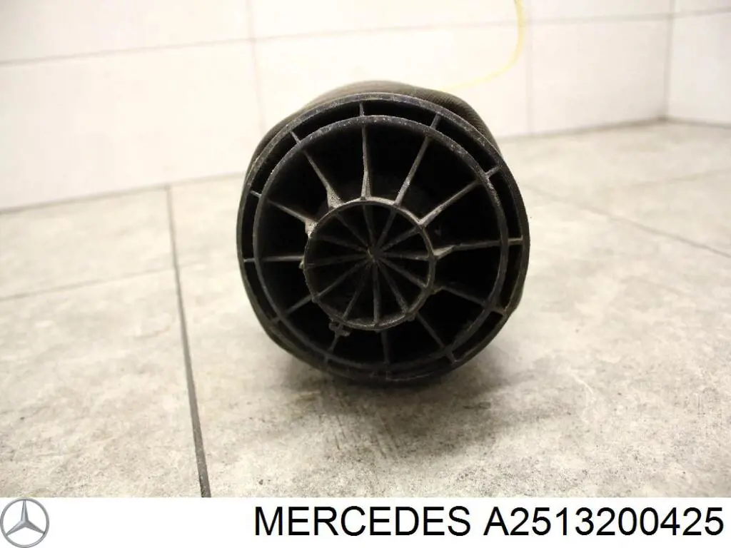 Compre A2513200425 Mercedes Coxim pneumático (suspensão de lâminas pneumática) do eixo traseiro