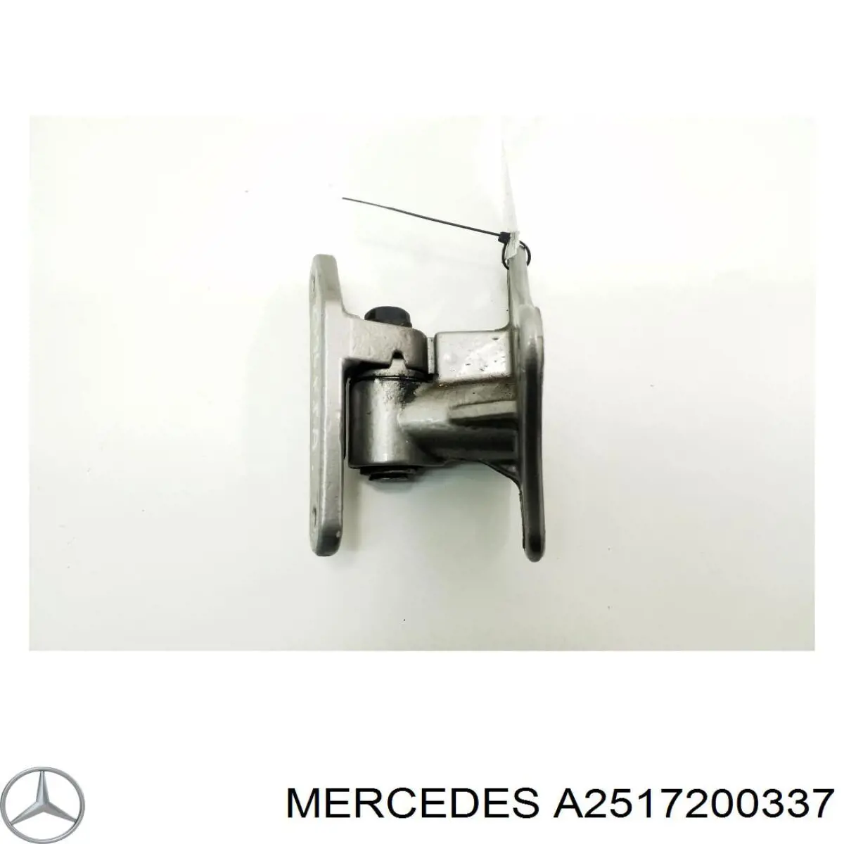 2517201537 Mercedes Gozno da porta dianteira esquerda