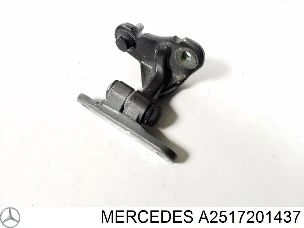 Compre 2517201437 Mercedes Gozno da porta dianteira direita