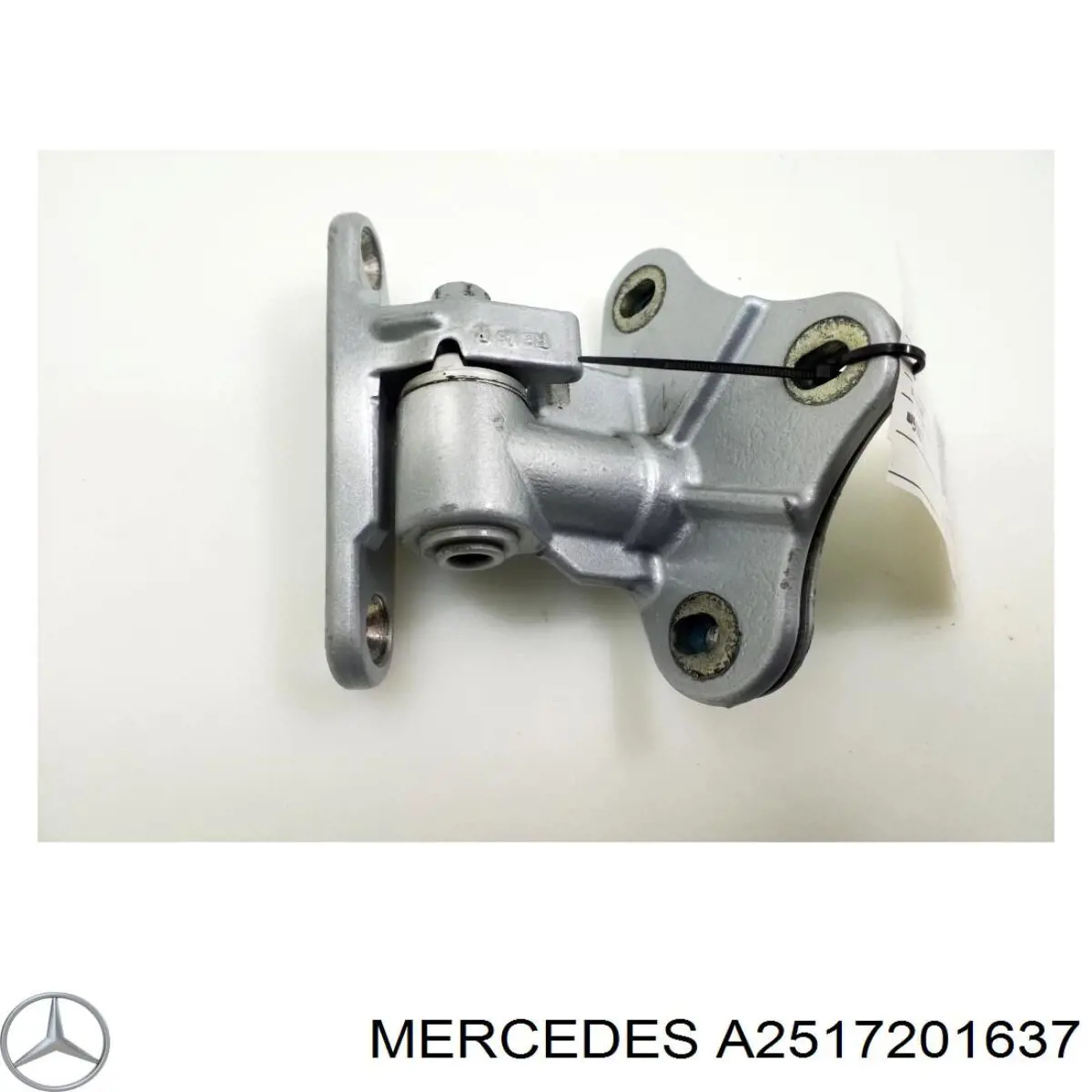 A2517201637 Mercedes Gozno da porta dianteira direita