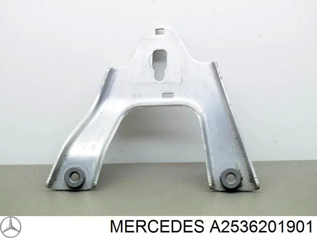 A2536201901 Mercedes 