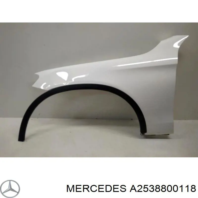 A2538800118 Mercedes Pára-lama dianteiro esquerdo