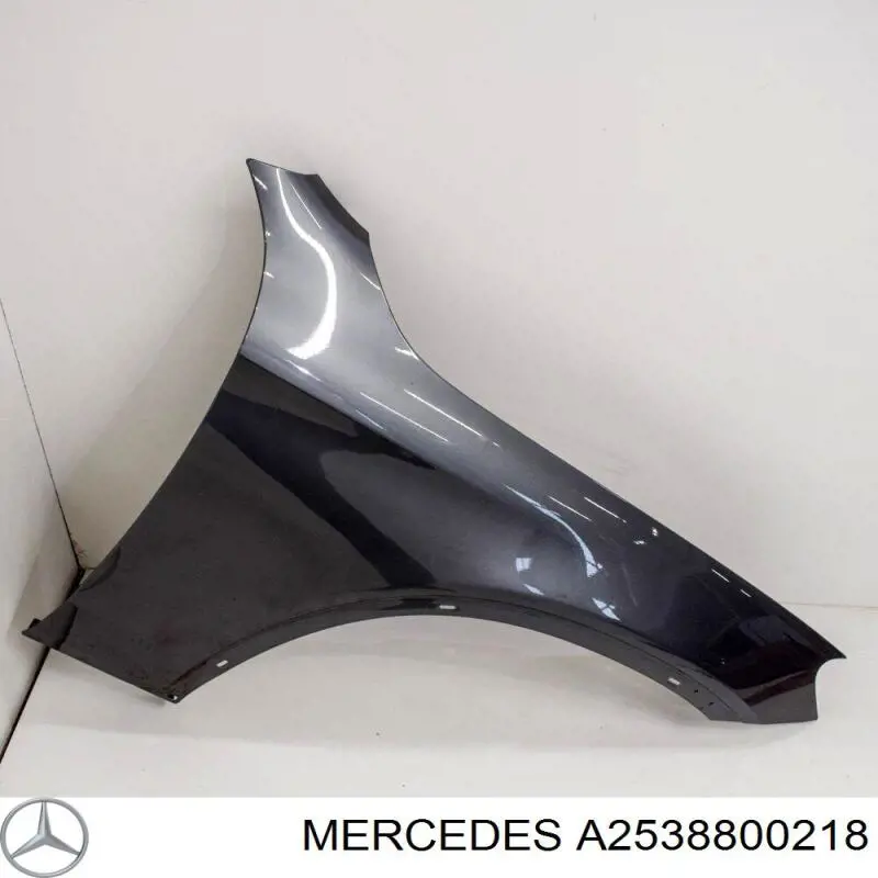 Compre A2538800218 Mercedes Pára-lama dianteiro direito