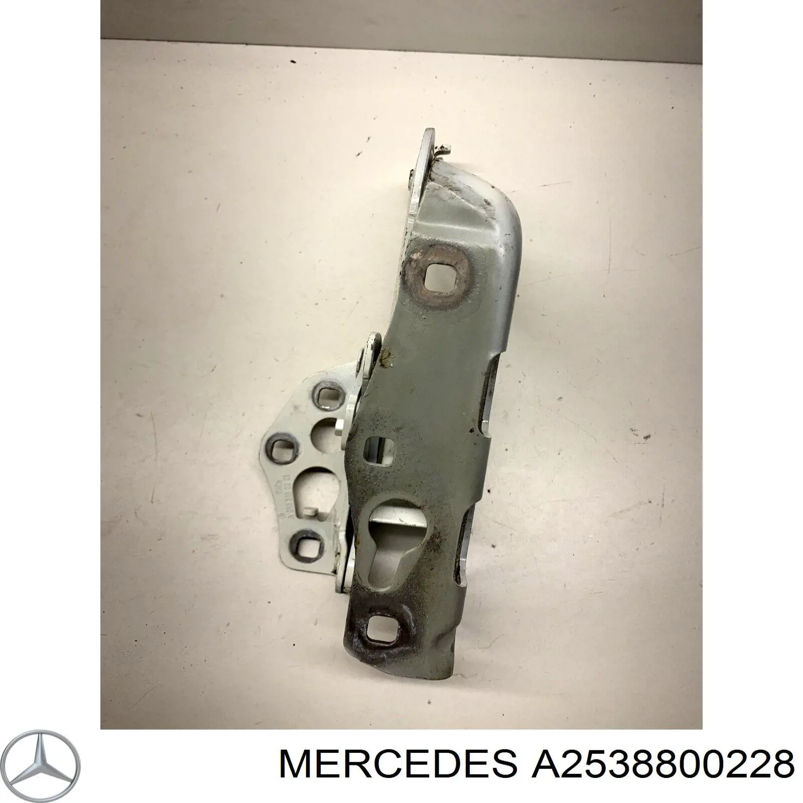 A2538800228 Mercedes Gozno da capota esquerdo