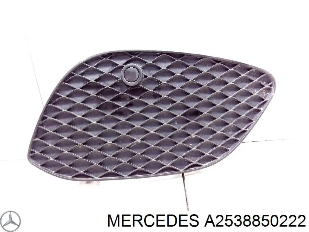 A2538850222 Mercedes Borda (orla) das luzes de nevoeiro