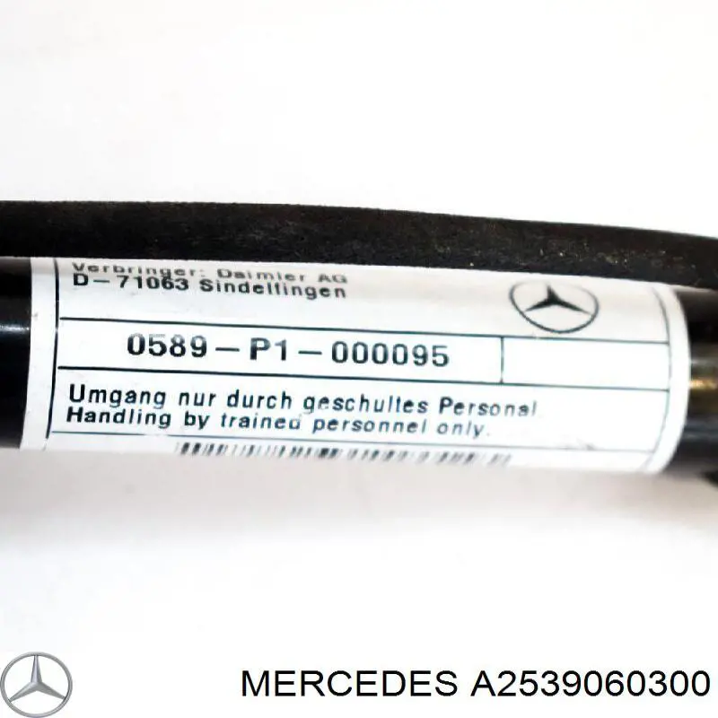 A2539060300 Mercedes Grelha central do pára-choque dianteiro