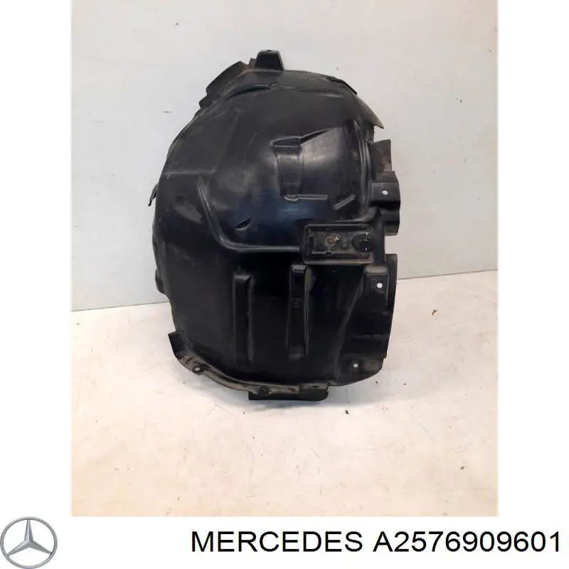 A2576909601 Mercedes 
