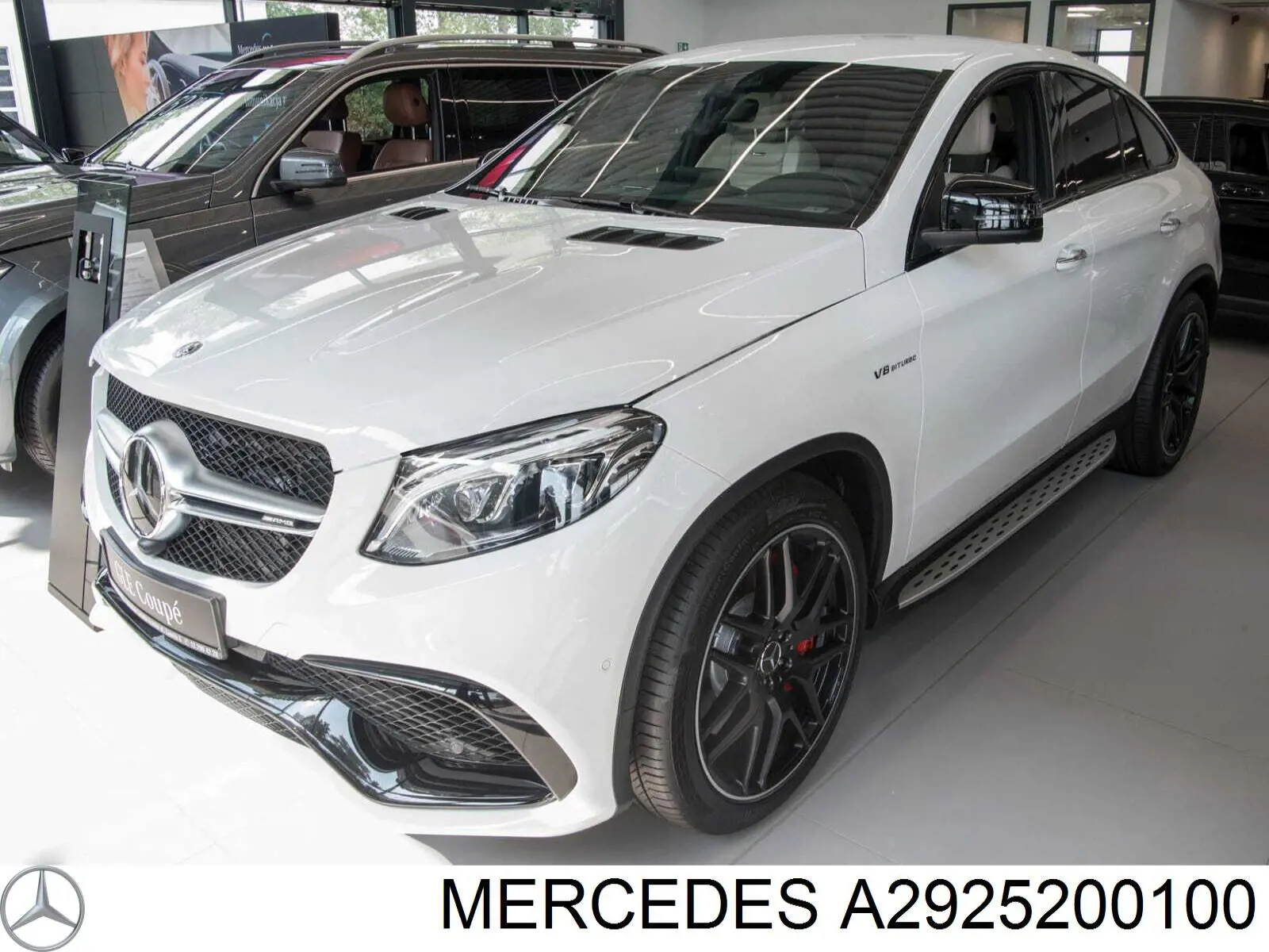 A2925200100 Mercedes Grampo dobrável (kit para automóvel)