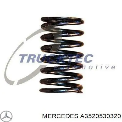 A3520530320 Mercedes Mola de válvula