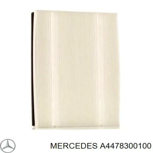 A4478300100 Mercedes Filtro de salão