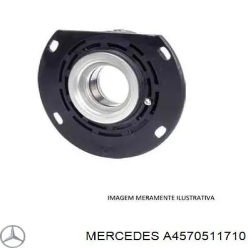 Folha inserida da árvore distribuidora, kit, padrão Kolbenschmidt 77740690 preço, a partir de 240,17 USD