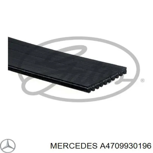 Compre 10PK1626 Continental/Siemens Correia dos conjuntos de transmissão