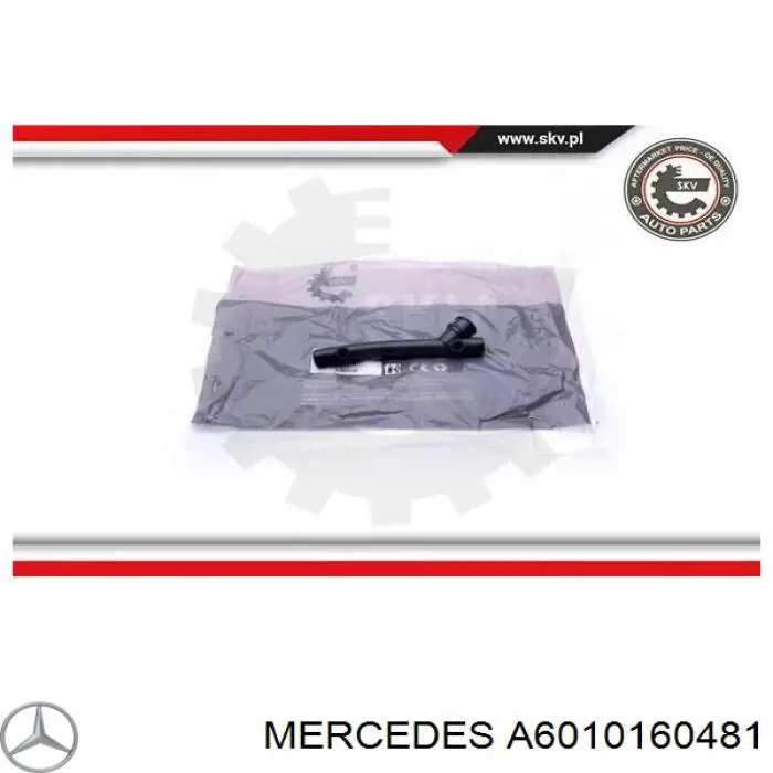 A6010160481 Mercedes Cano derivado de ventilação de cárter (de separador de óleo)