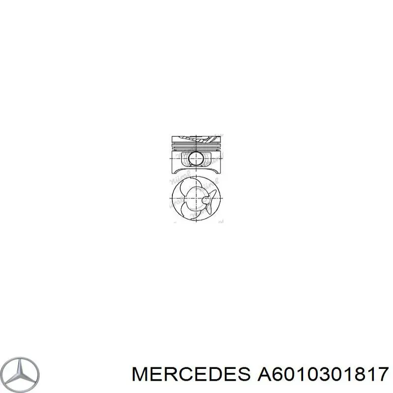Compre 6030302117 Mercedes Pistão do kit para 1 cilindro, STD