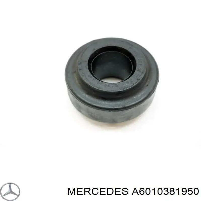 Compre 6010381950 Ssang Yong Bucha de biela