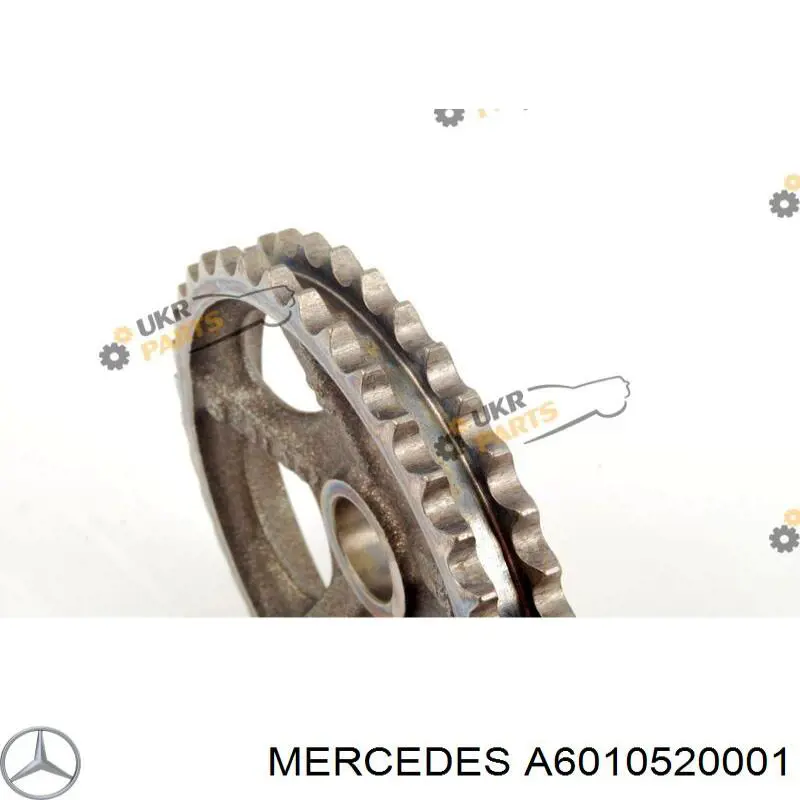 A6010520001 Mercedes Engrenagem de cadeia da roda dentada da árvore distribuidora de motor