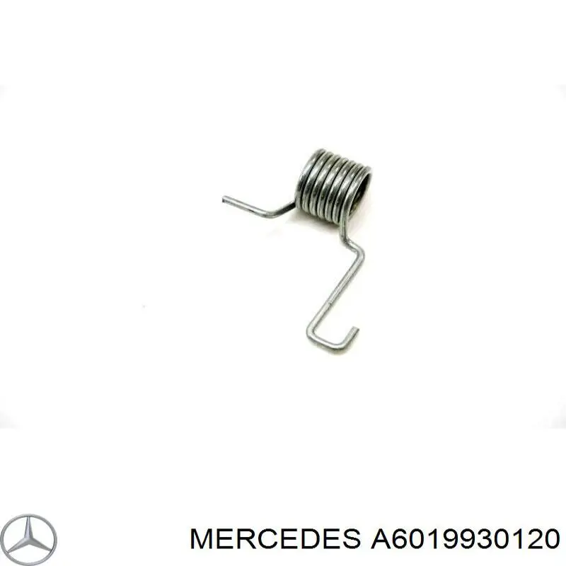 A6019930120 Mercedes Mola de parafuso de fixação de tubo coletor