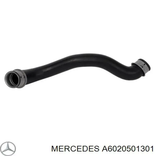 Compre A6020501301 Mercedes Árvore distribuidora de motor