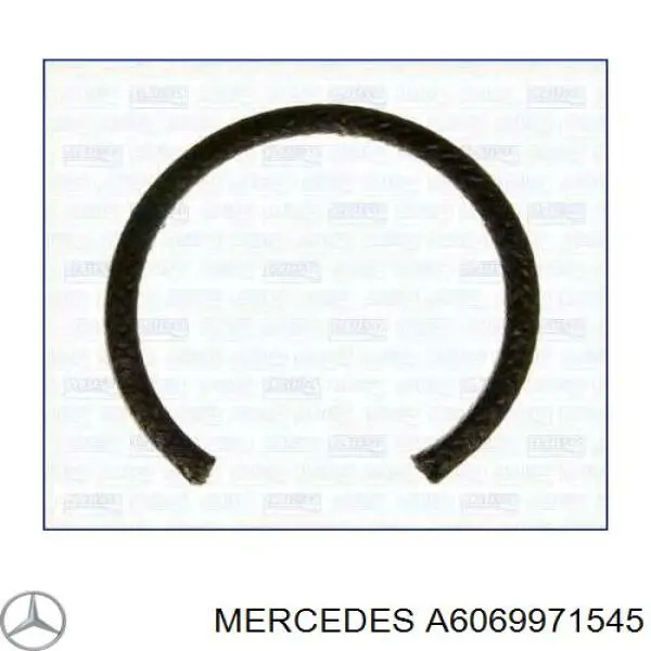 A6069971545 Mercedes Vedante anular do injetor de lubrificação de cadeia do mecanismo de distribuição de gás