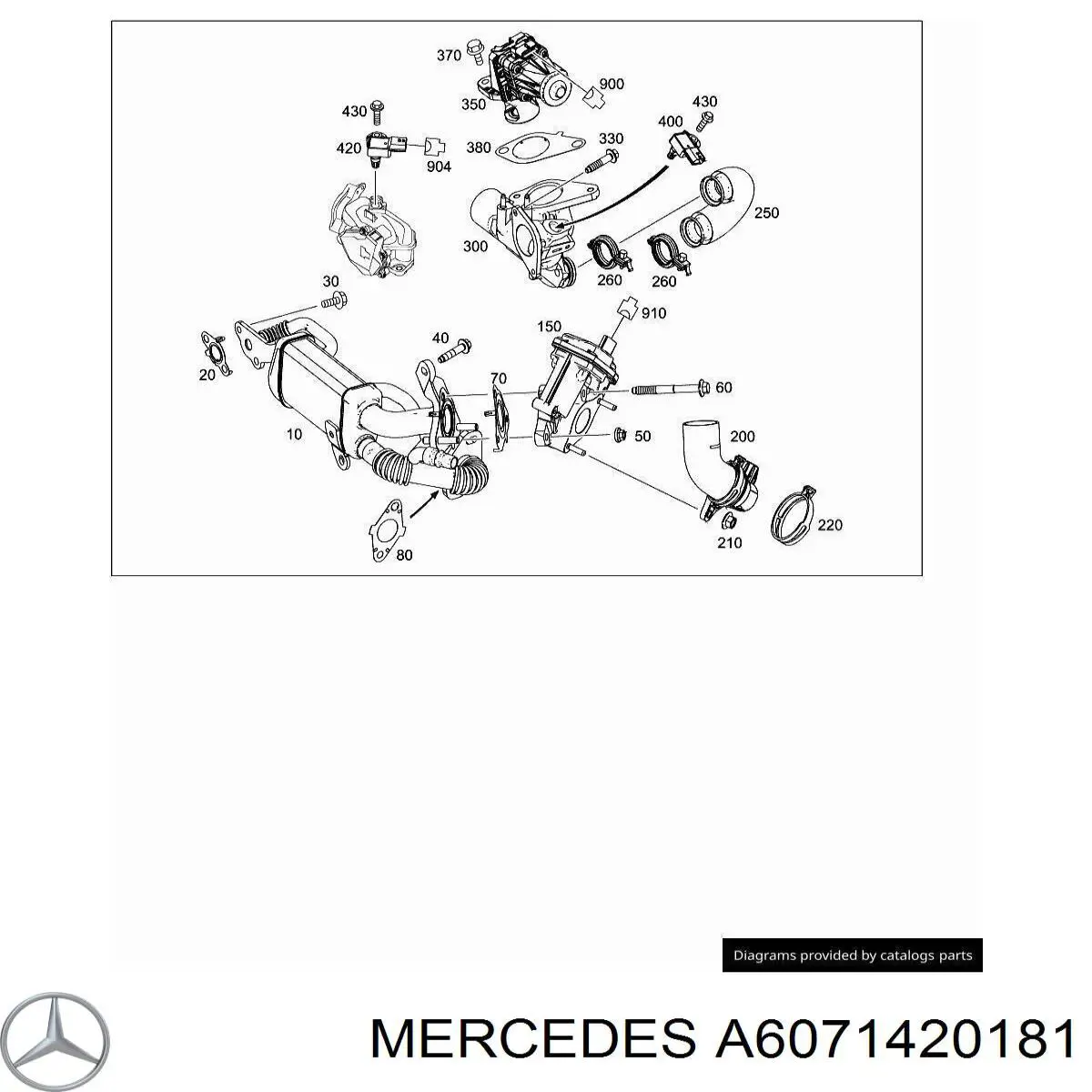 147196507R Renault (RVI) Vedante de válvula EGR de recirculação